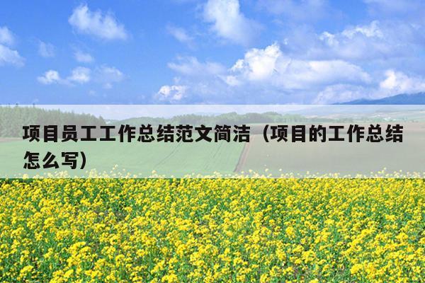 项目员工工作总结范文简洁(项目的工作总结怎么写)