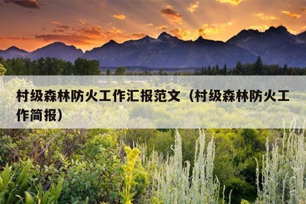 村级森林防火工作汇报范文(村级森林防火工作简报)