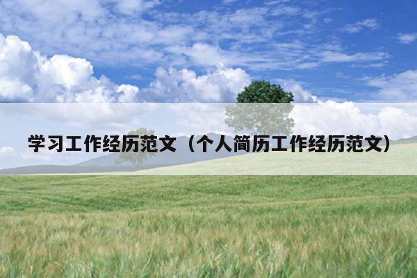 学习工作经历范文(个人简历工作经历范文)