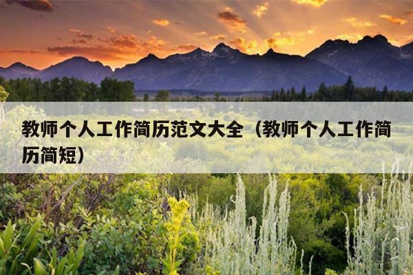 教师个人工作简历范文大全(教师个人工作简历简短)