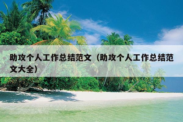 助攻个人工作总结范文(助攻个人工作总结范文大全)