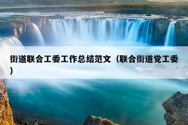 街道联合工委工作总结范文(联合街道党工委)