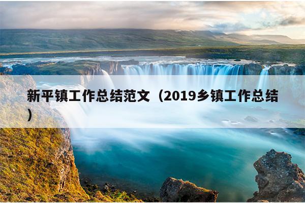 新平镇工作总结范文(2019乡镇工作总结)