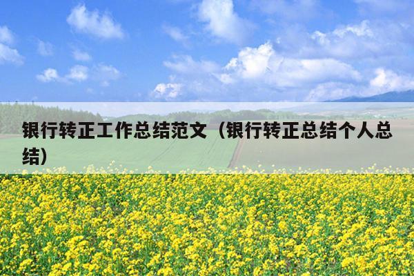 银行转正工作总结范文(银行转正总结个人总结)