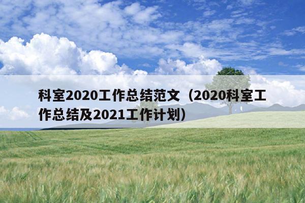 科室2020工作总结范文(2020科室工作总结及2021工作计划)