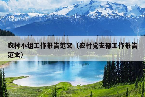农村小组工作报告范文(农村党支部工作报告范文)