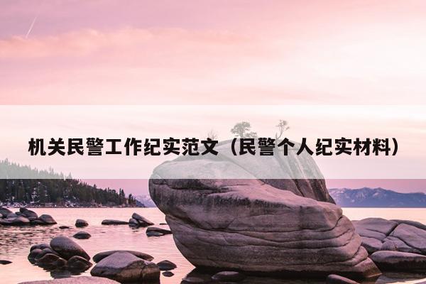 机关民警工作纪实范文(民警个人纪实材料)