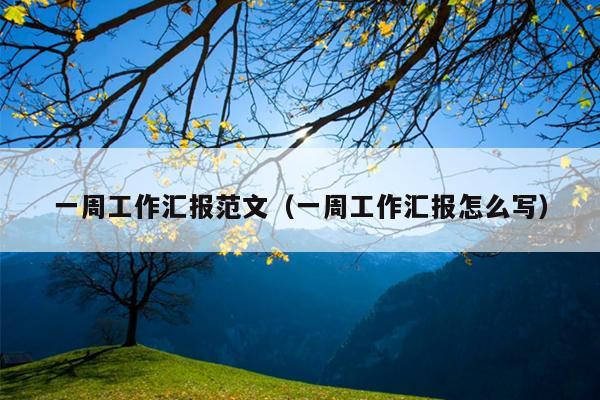 一周工作汇报范文(一周工作汇报怎么写)