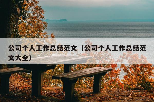 公司个人工作总结范文(公司个人工作总结范文大全)