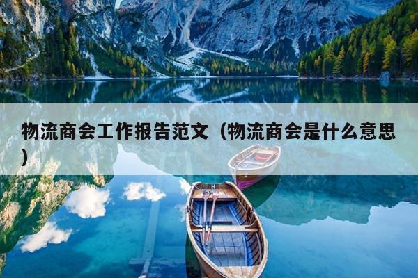 物流商会工作报告范文(物流商会是什么意思)