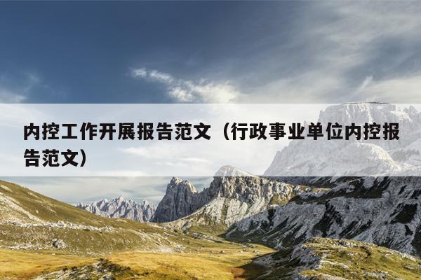 内控工作开展报告范文(行政事业单位内控报告范文)