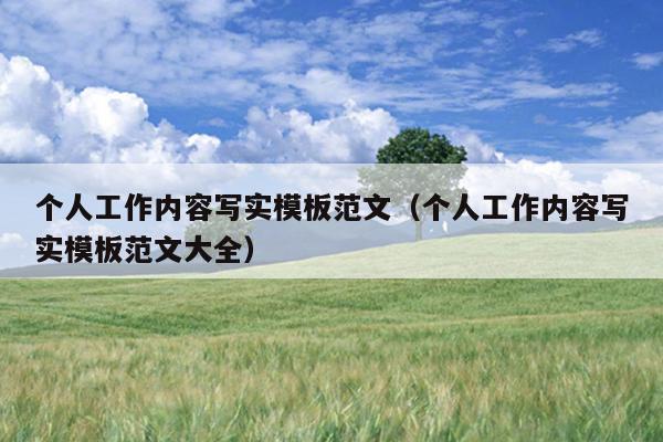 个人工作内容写实模板范文(个人工作内容写实模板范文大全)
