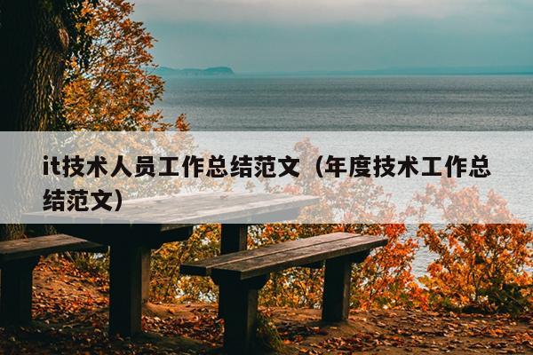 it技术人员工作总结范文(年度技术工作总结范文)