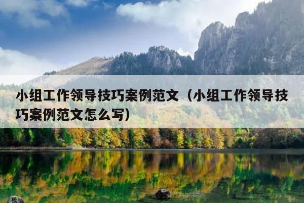 小组工作领导技巧案例范文(小组工作领导技巧案例范文怎么写)