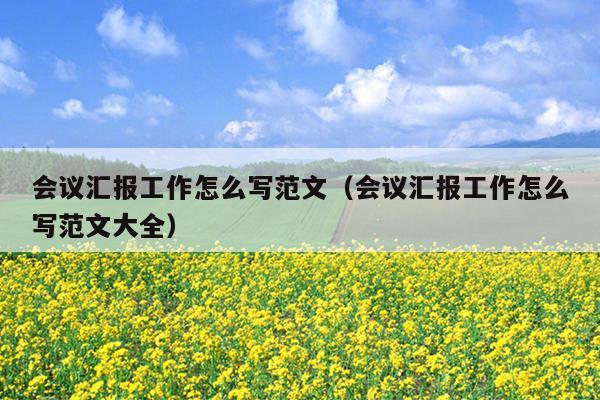 会议汇报工作怎么写范文(会议汇报工作怎么写范文大全)