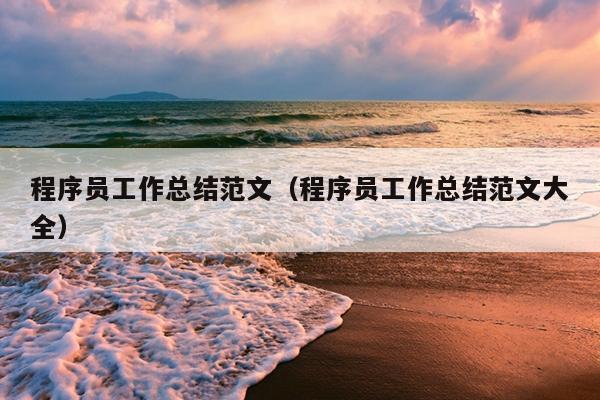 程序员工作总结范文(程序员工作总结范文大全)