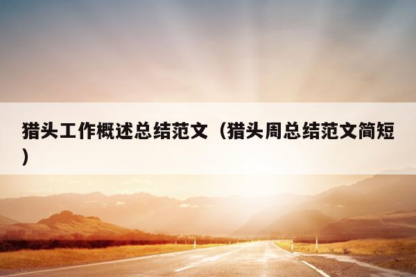 猎头工作概述总结范文(猎头周总结范文简短)
