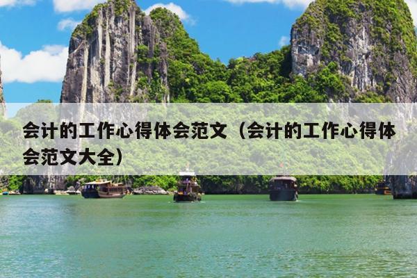 会计的工作心得体会范文(会计的工作心得体会范文大全)