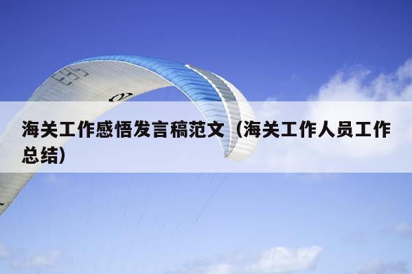 海关工作感悟发言稿范文(海关工作人员工作总结)