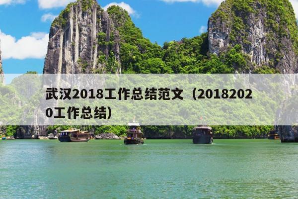 武汉2018工作总结范文(20182020工作总结)