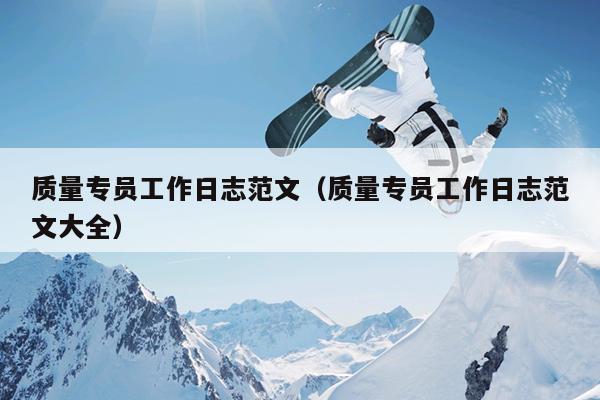 质量专员工作日志范文(质量专员工作日志范文大全)