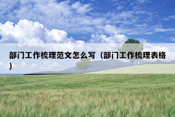 部门工作梳理范文怎么写(部门工作梳理表格)