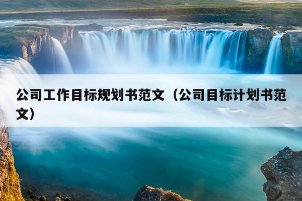 公司工作目标规划书范文(公司目标计划书范文)