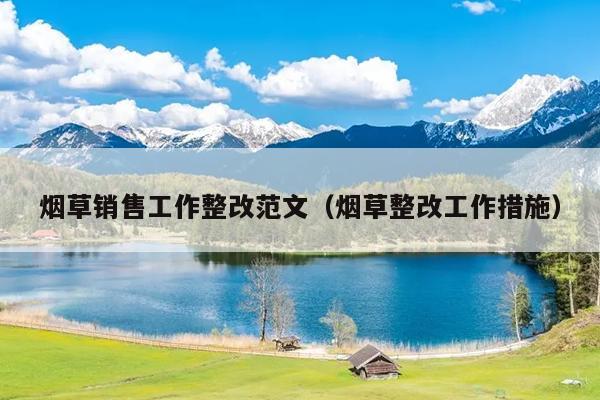 烟草销售工作整改范文(烟草整改工作措施)