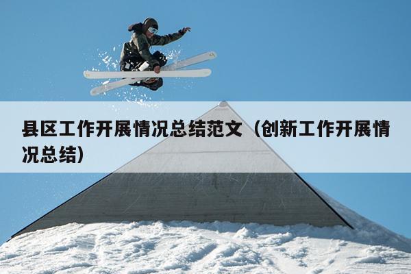 县区工作开展情况总结范文(创新工作开展情况总结)