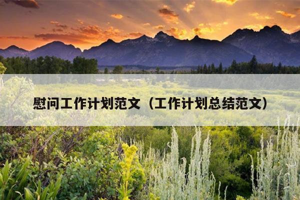 慰问工作计划范文(工作计划总结范文)