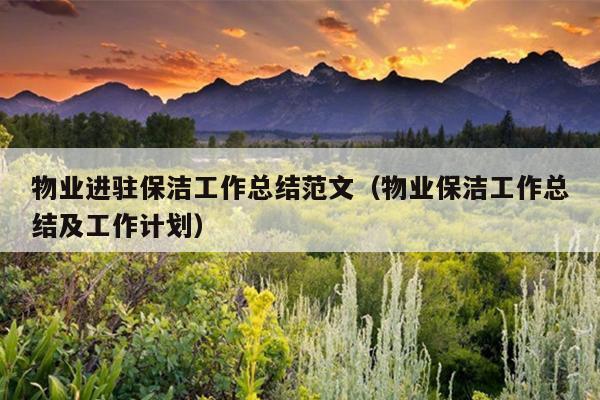物业进驻保洁工作总结范文(物业保洁工作总结及工作计划)