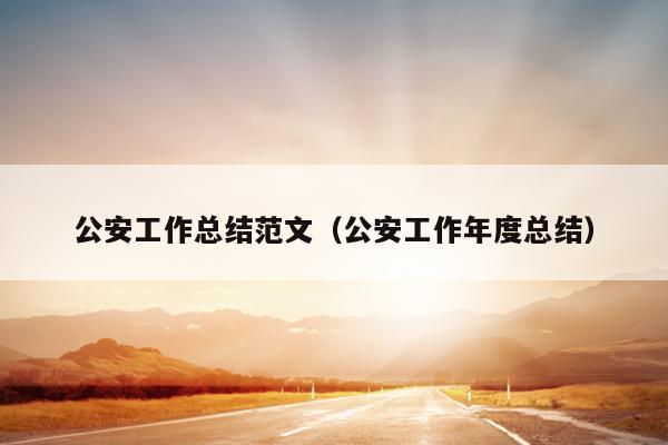 公安工作总结范文(公安工作年度总结)