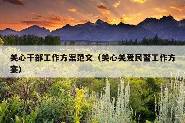 关心干部工作方案范文(关心关爱民警工作方案)