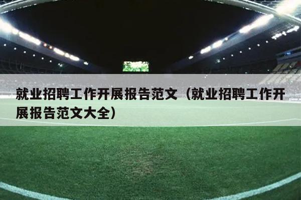 就业招聘工作开展报告范文(就业招聘工作开展报告范文大全)