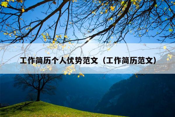 工作简历个人优势范文(工作简历范文)
