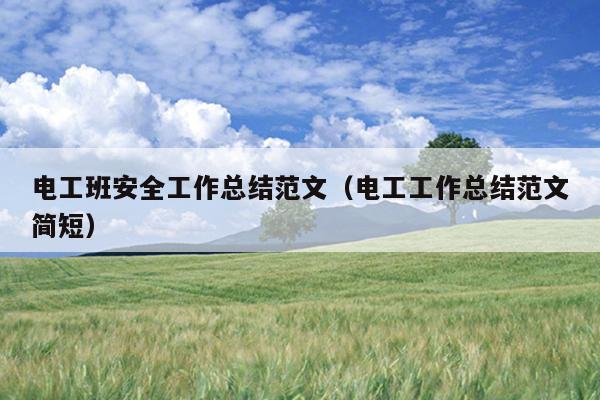 电工班安全工作总结范文(电工工作总结范文简短)