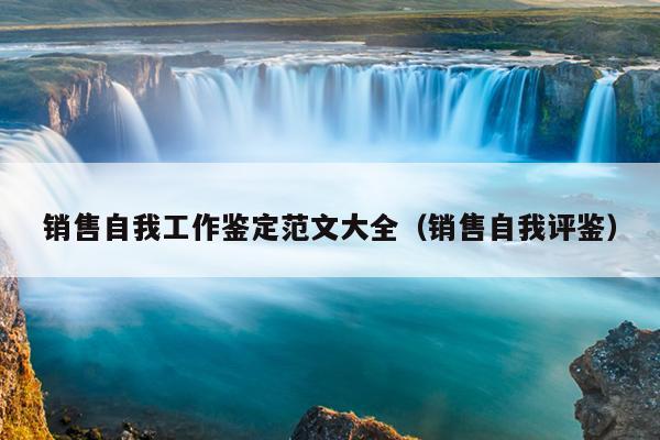 销售自我工作鉴定范文大全(销售自我评鉴)