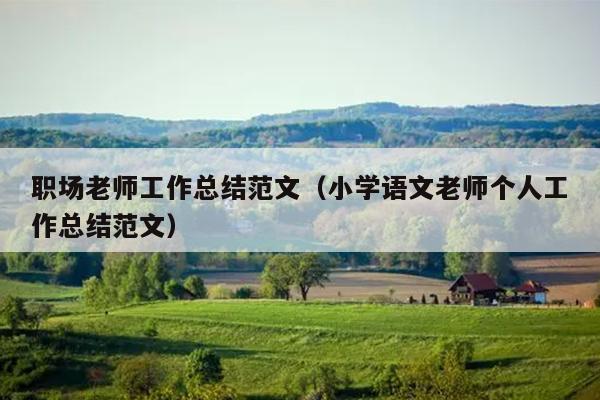 职场老师工作总结范文(小学语文老师个人工作总结范文)