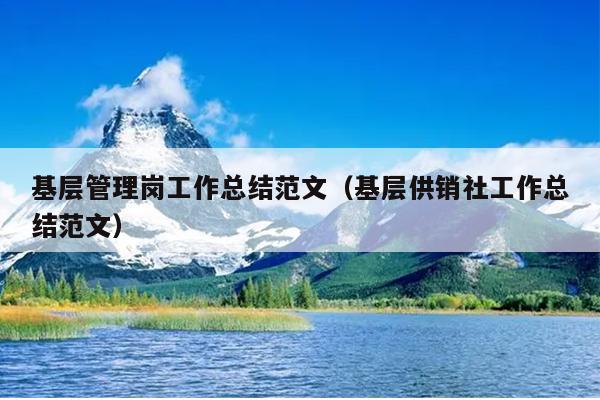基层管理岗工作总结范文(基层供销社工作总结范文)
