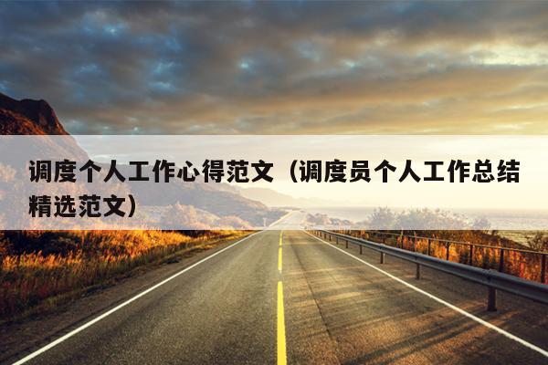 调度个人工作心得范文(调度员个人工作总结精选范文)