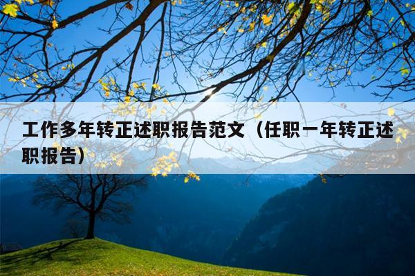 工作多年转正述职报告范文(任职一年转正述职报告)