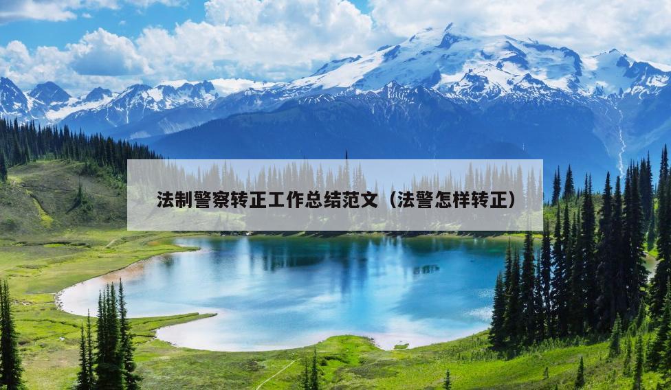 法制警察转正工作总结范文(法警怎样转正)