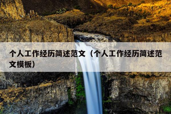 个人工作经历简述范文(个人工作经历简述范文模板)