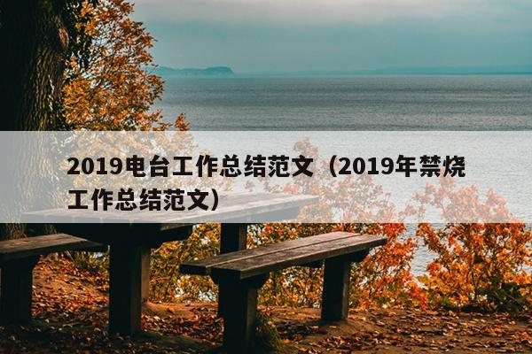 2019电台工作总结范文(2019年禁烧工作总结范文)