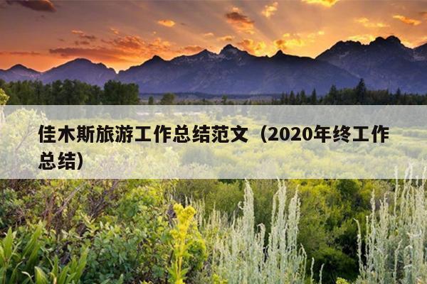 佳木斯旅游工作总结范文(2020年终工作总结)