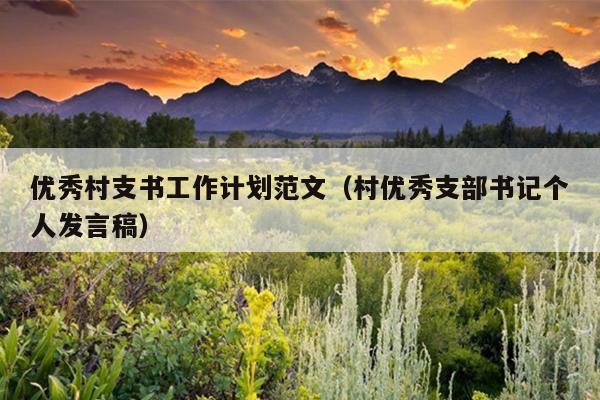 优秀村支书工作计划范文(村优秀支部书记个人发言稿)