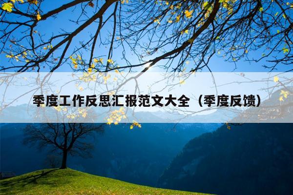 季度工作反思汇报范文大全(季度反馈)