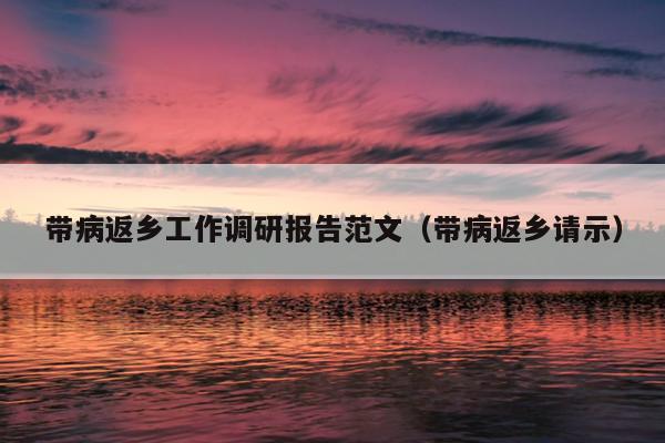 带病返乡工作调研报告范文(带病返乡请示)