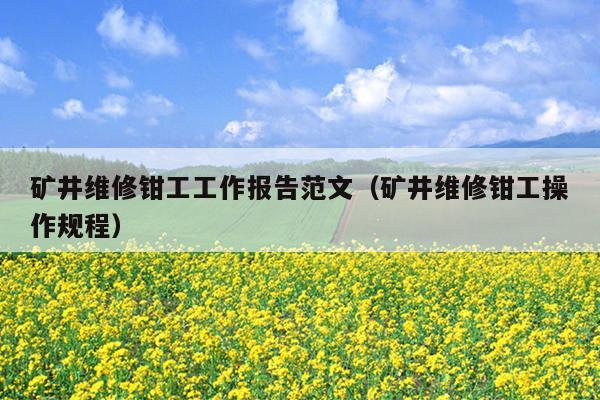 矿井维修钳工工作报告范文(矿井维修钳工操作规程)