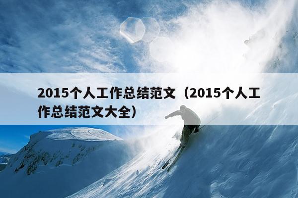 2015个人工作总结范文(2015个人工作总结范文大全)